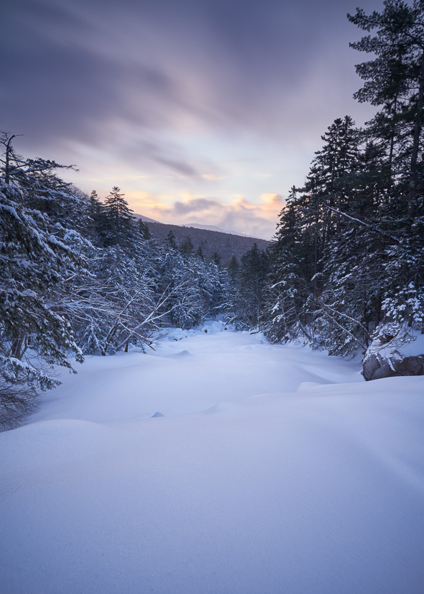 Gallery of photographs taken in New England during winter.